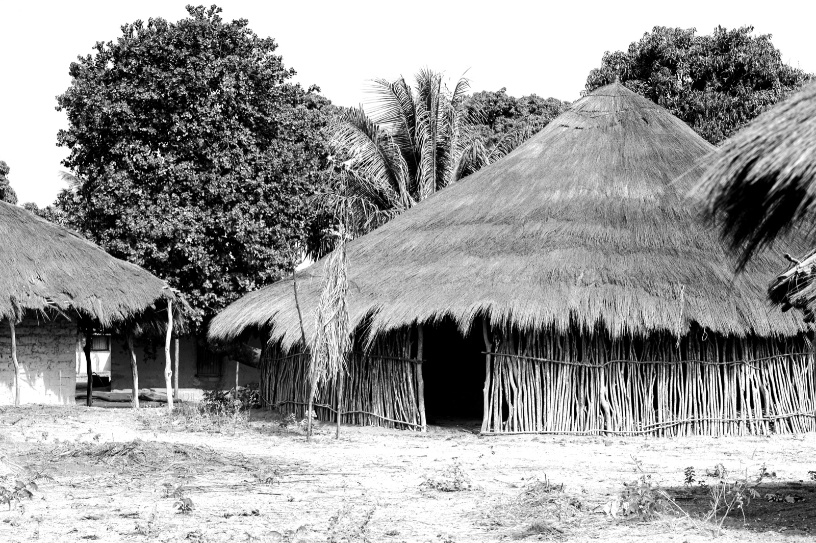 Sustainable community housing